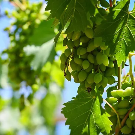 Apartamento La Rocca