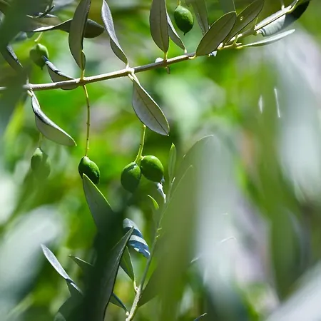 Apartamento La Rocca Dubrovnik